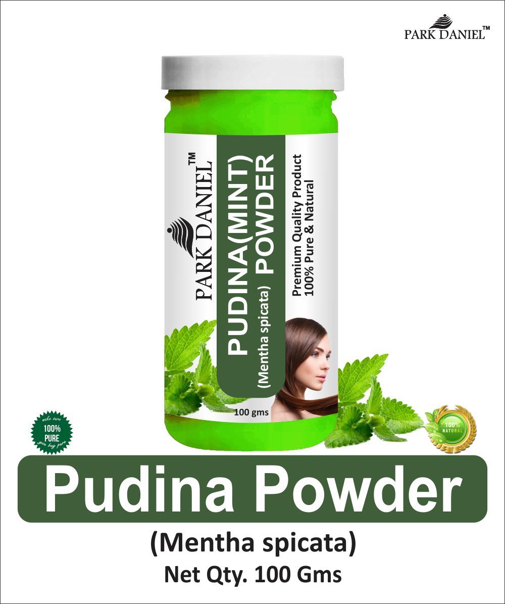 Park Daniel Ginger Powder & Pudina(Mint)Powder Combo pack of 2 Jars of 100 gms(200 gms)