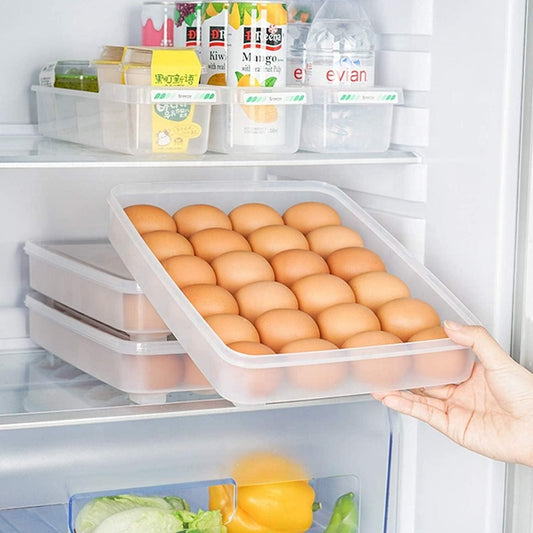 Transparent 24 Grid Egg Storage Airtight Container Tray (Pack of 1)