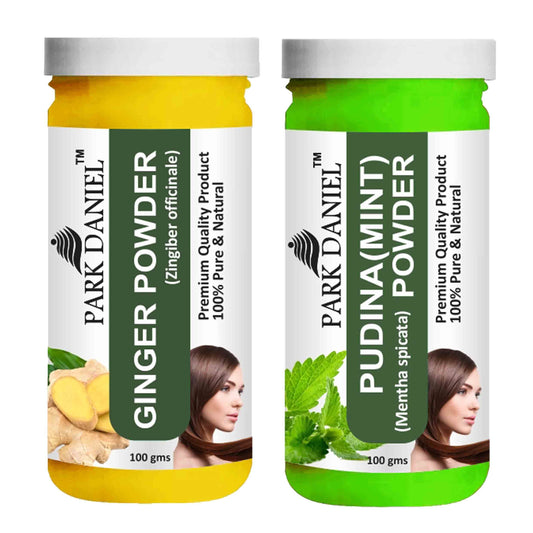 Park Daniel Ginger Powder & Pudina(Mint)Powder Combo pack of 2 Jars of 100 gms(200 gms)