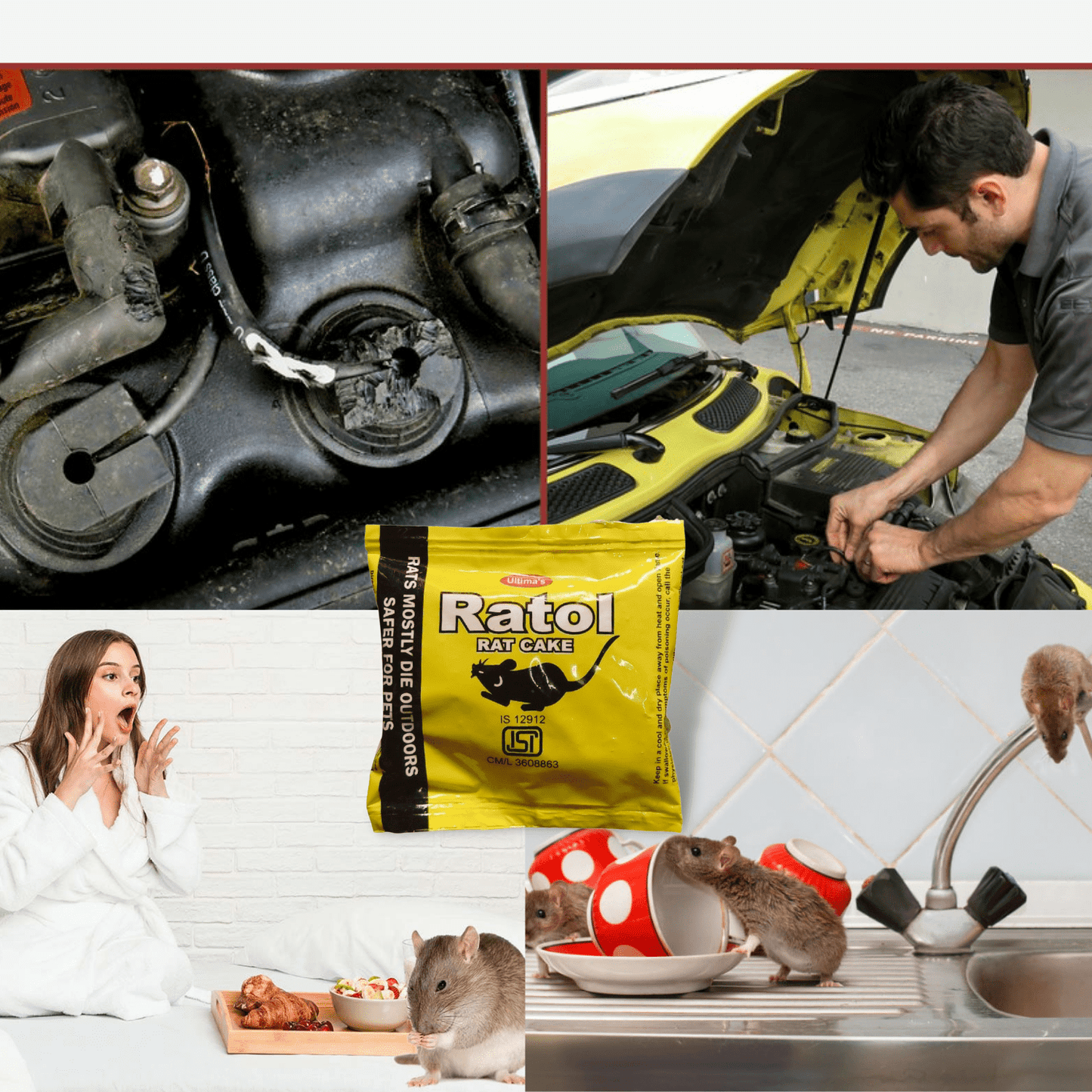 Rat Kill Cake for Car Home Outdoor | Ready to Use Rat Killer Bait | East to Use | Rats Mostly Die Outside 25gmX5