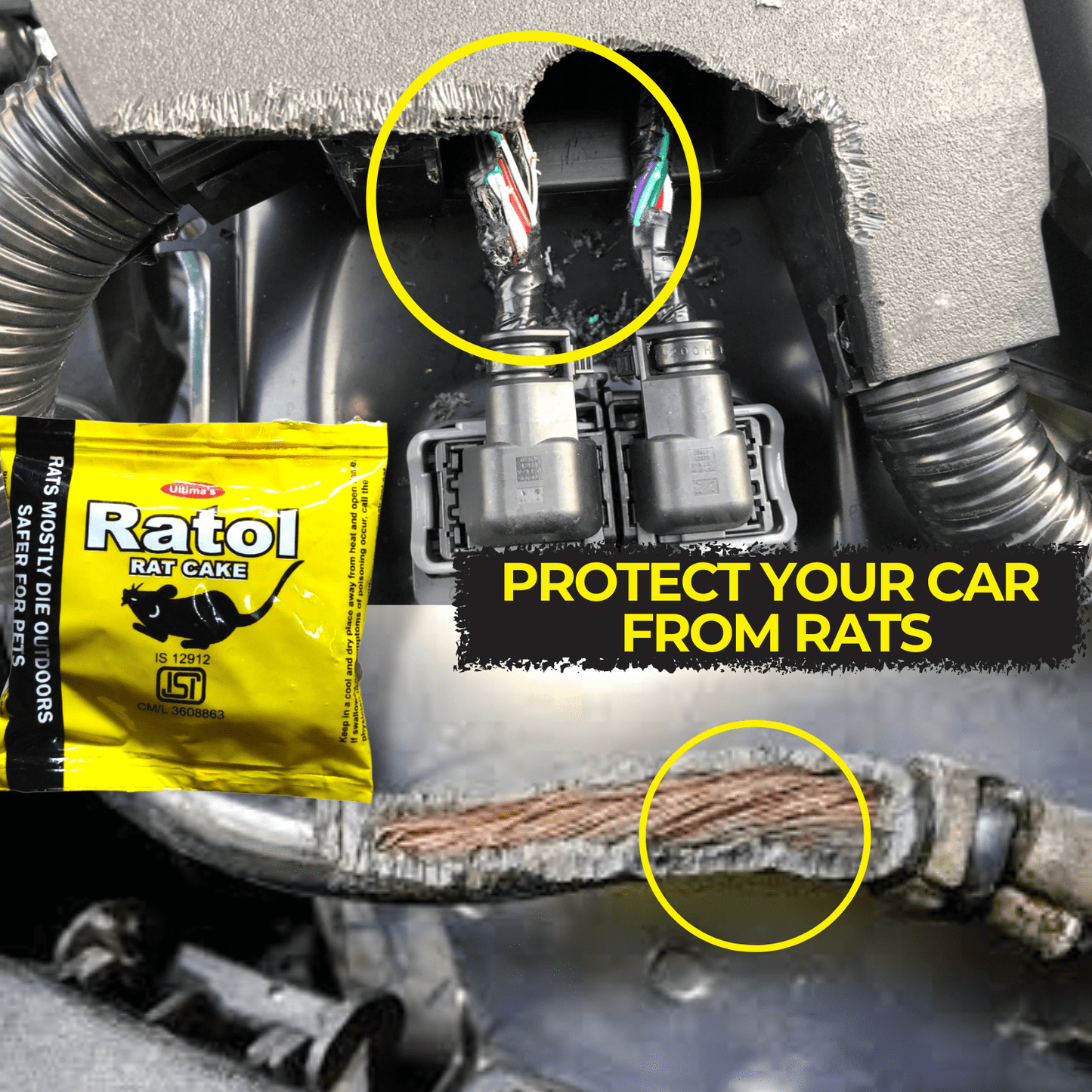 Rat Kill Cake for Car Home Outdoor | Ready to Use Rat Killer Bait | East to Use | Rats Mostly Die Outside 25gmX9