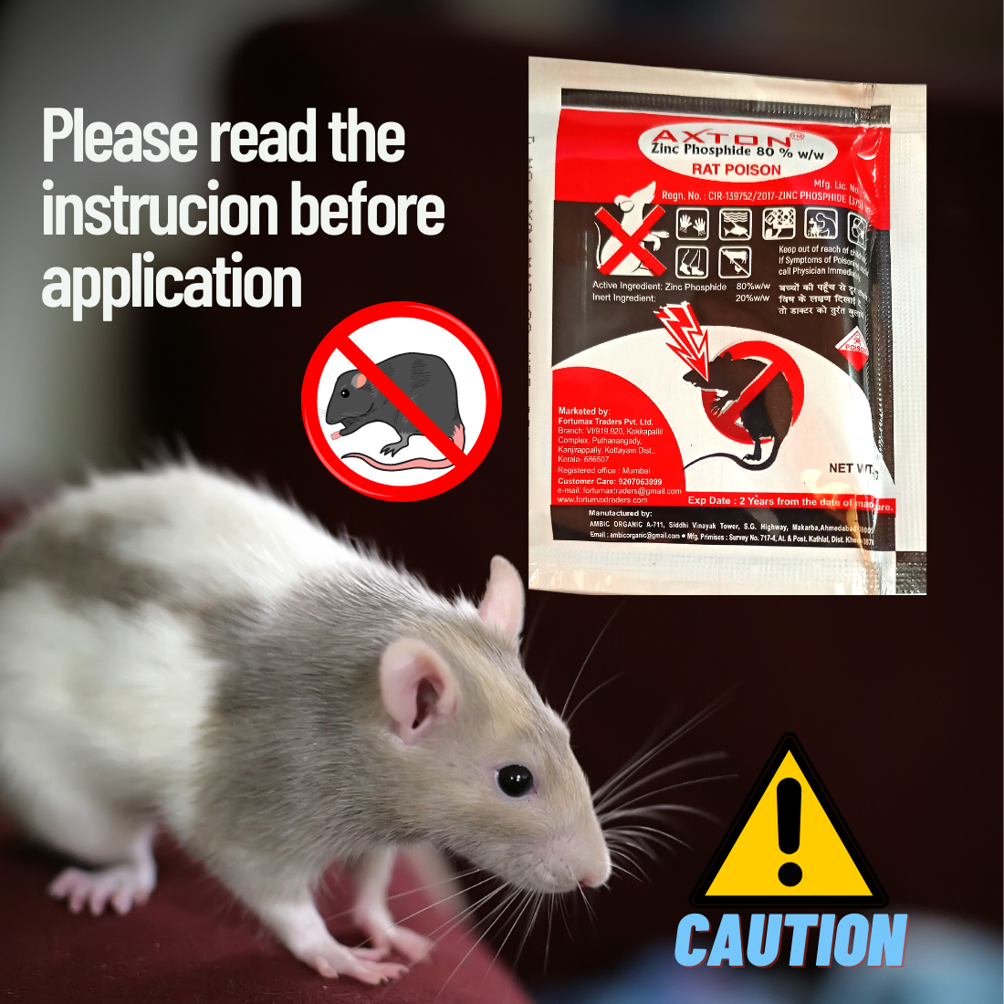 Best discount rat poison