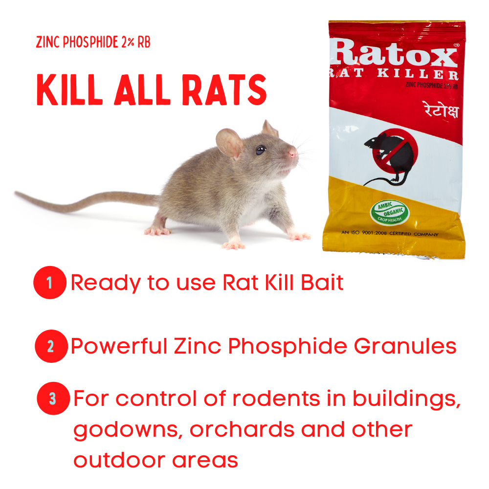 Rat Control Granules | Bait for Rats and Rodents | Effective Rat Control | Chuha Mar 50GMx4