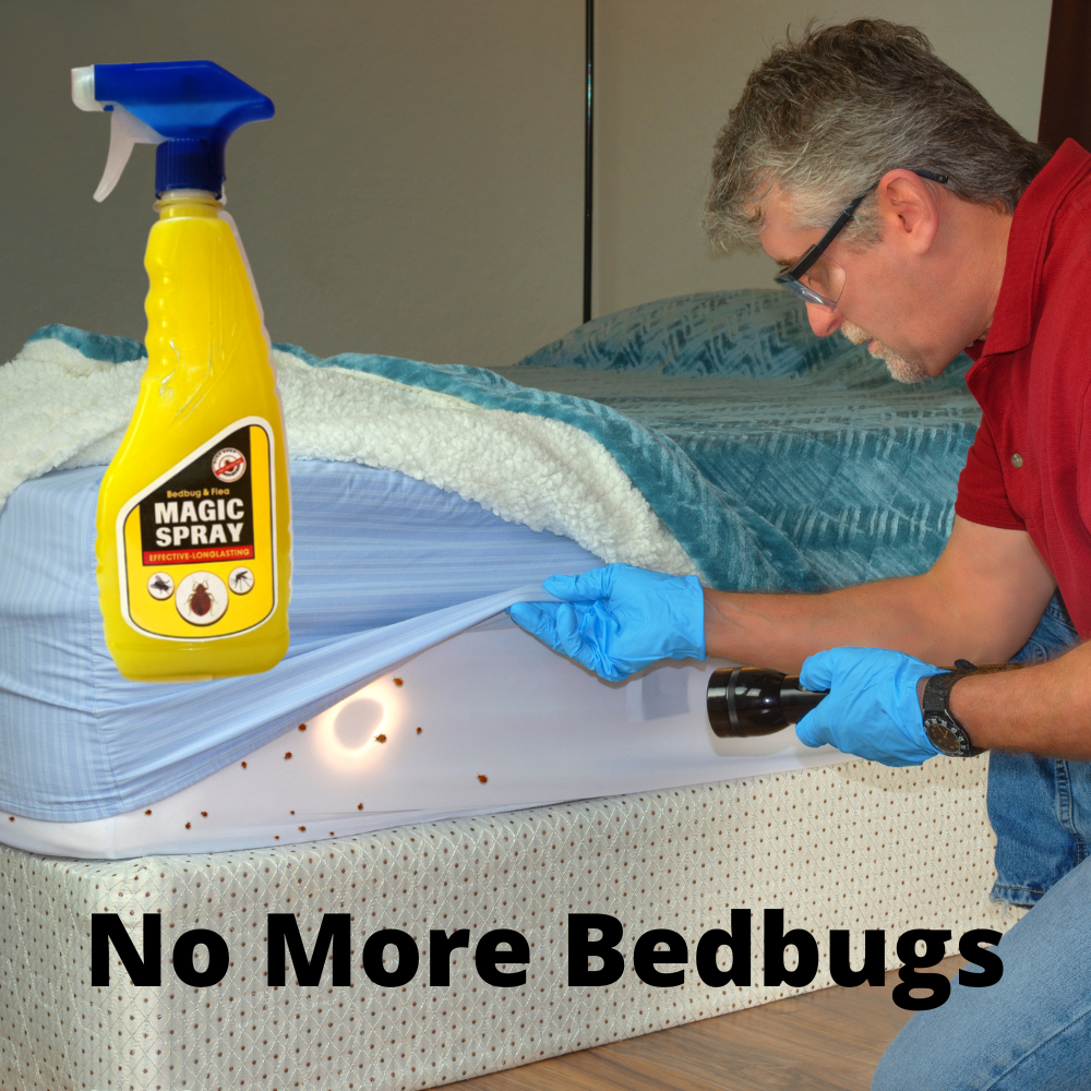 Bedbug & Flea control Magic Spray  Effective and Long-lasting 500MLx4