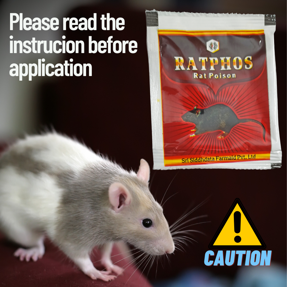 Rat Killer Granules 50Gx1 and Zinc Phosphide Powder 10Gx7 | Rodenticide | Rat Killer for Home and Outdoor