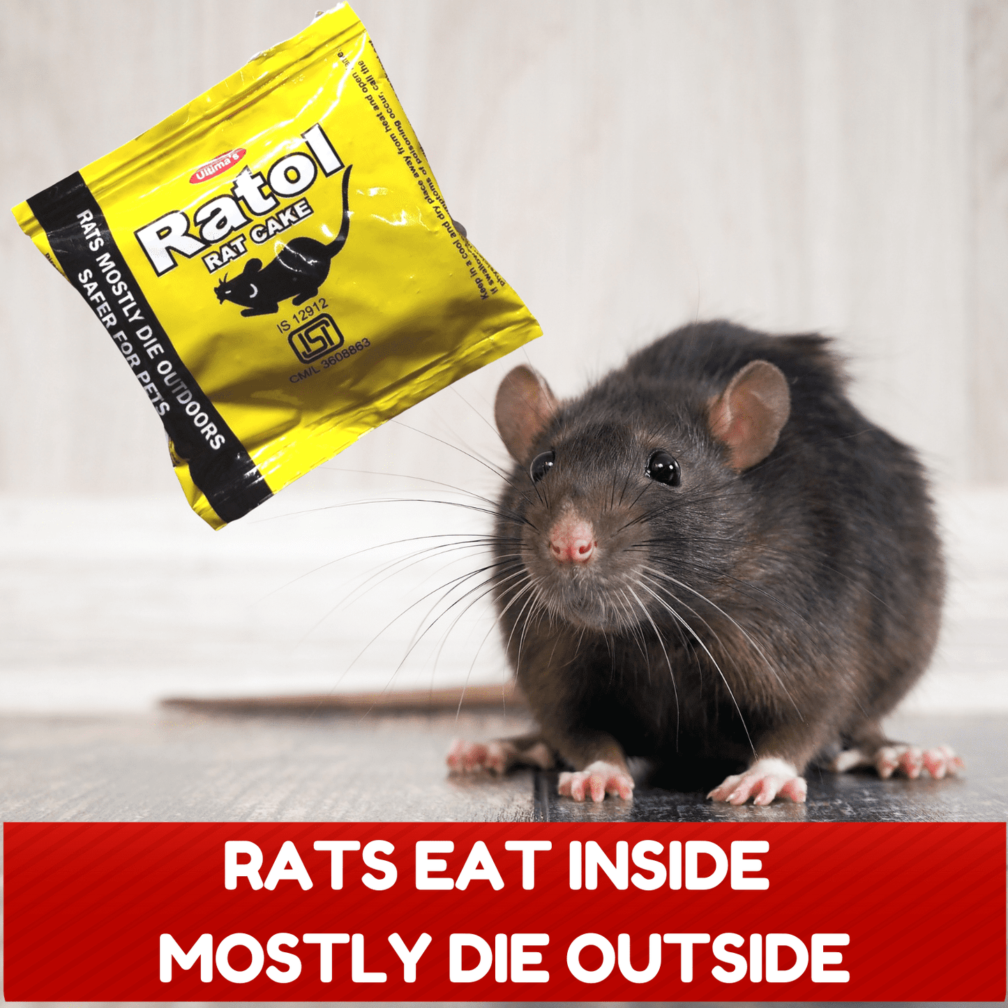 Rat Kill Cake for Car Home Outdoor | Ready to Use Rat Killer Bait | East to Use | Rats Mostly Die Outside 25gmX6