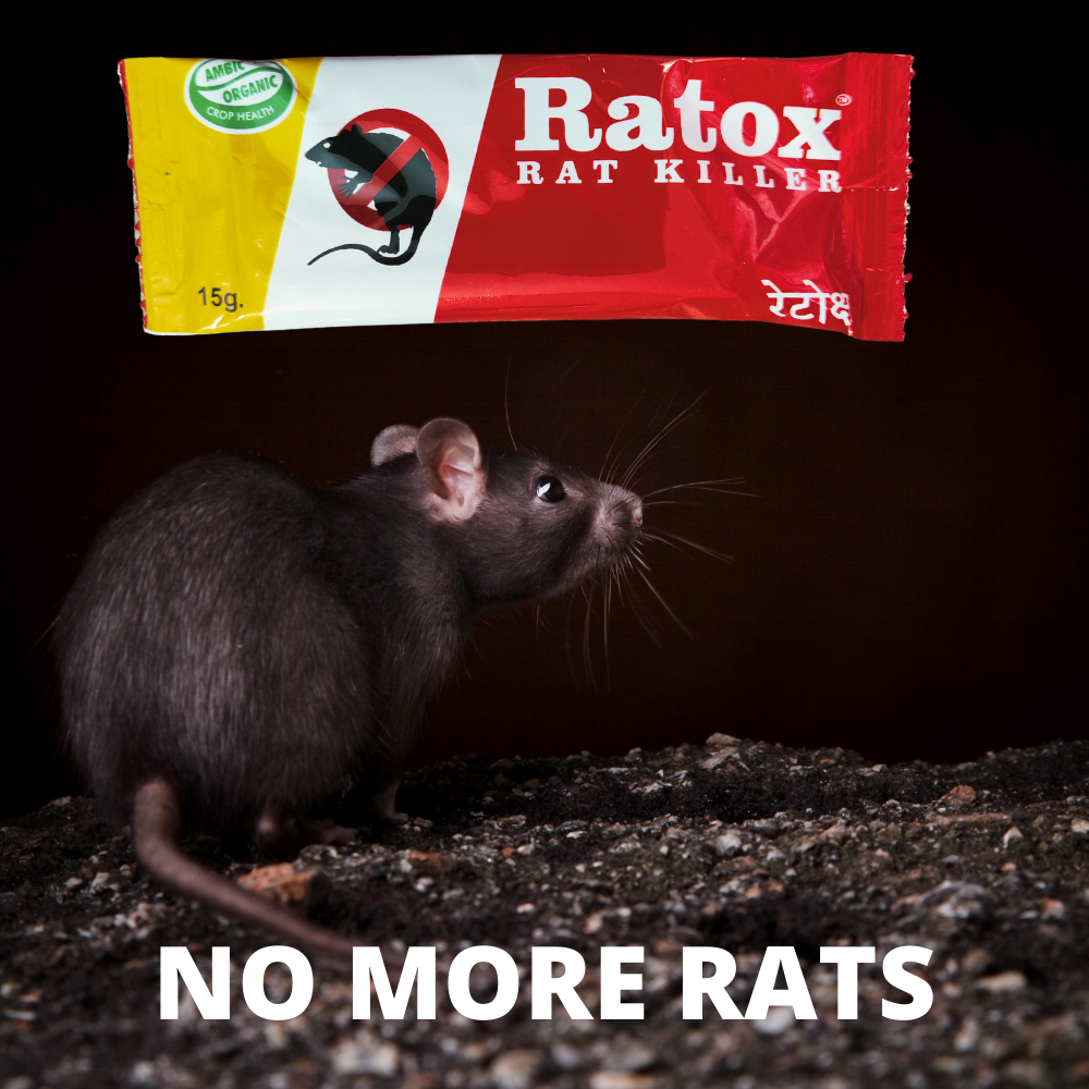 Rat Kill Paste | Ready to Use Rat Killer Gel for Home and Outdoors | Rodenticide Rat Poison Bait 15GMX1