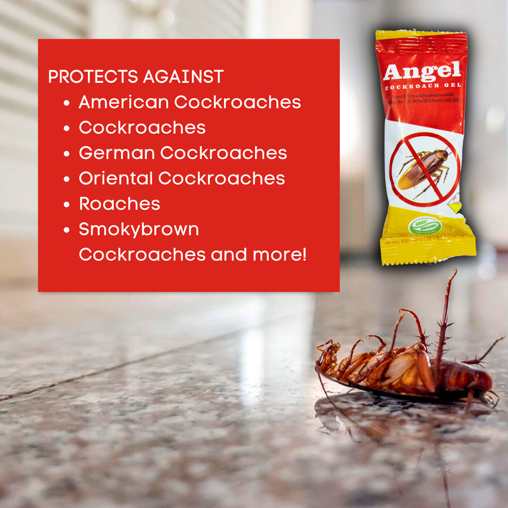 Angel Anti Roach Gel Cockroach Killer | Kitchen Safe, Odourless, Fast and Convenient 20GMx4