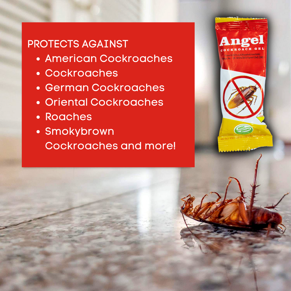 Anti Roach Gel Cockroach Killer | Kitchen Safe, Odourless, Fast and Convenient 10 GM
