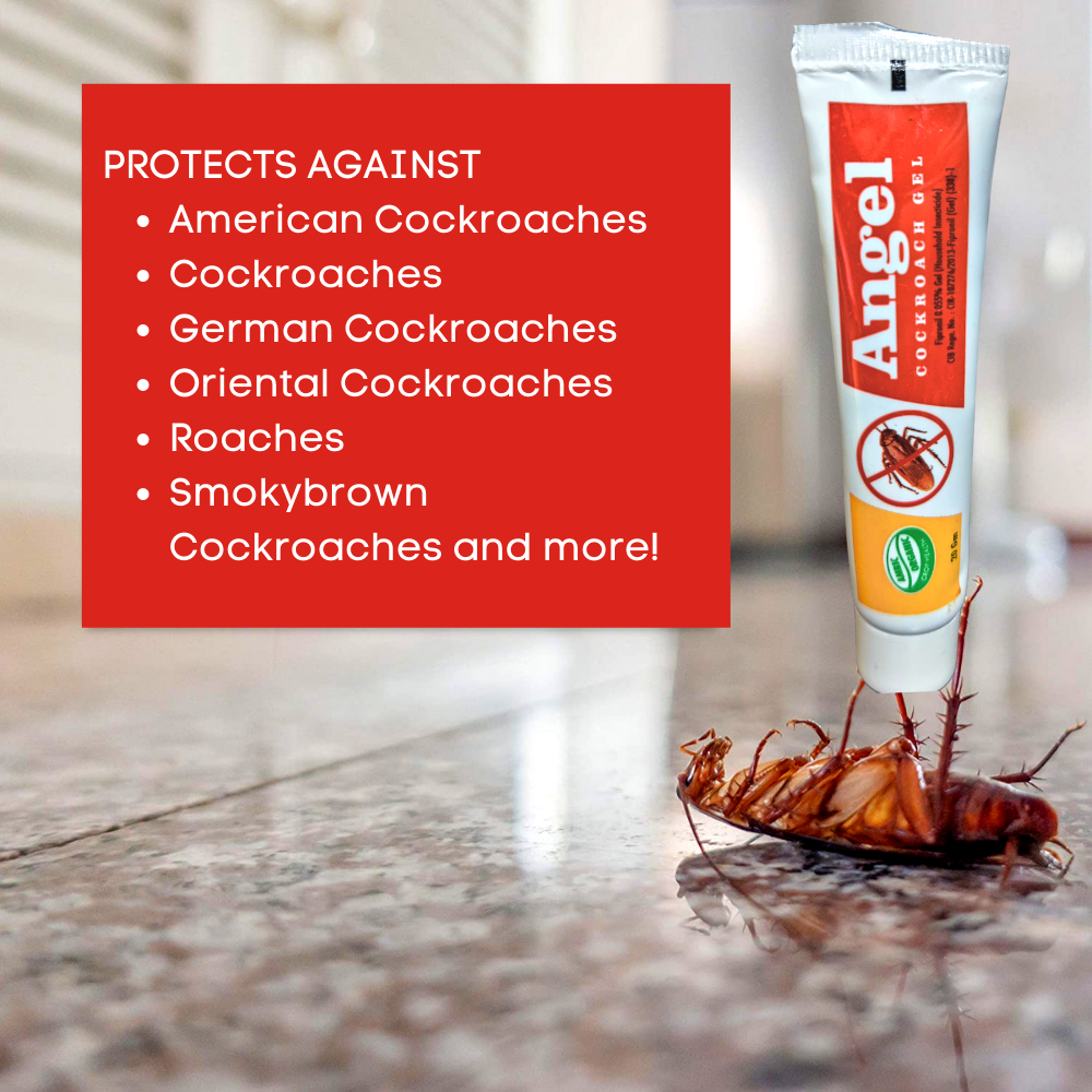 Angel Anti Roach Gel Cockroach Killer | Kitchen Safe, Odourless, Fast and Convenient 20GMx1
