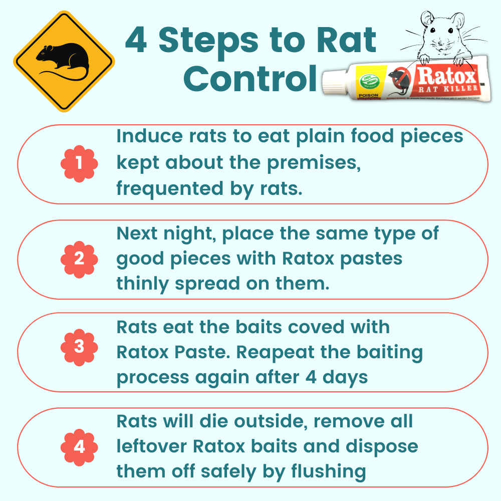 Rat Kill Gel | Ready to Use Rat Killer for Home and Outdoors | Rodenticide Rat Poison Bait 35GMX1