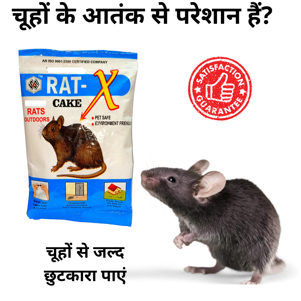 Rat Killer Cake | Rats Mostly Die Outside | Rat Kill Bait for Rat and Rodent Control | Rodenticide 25GMx3
