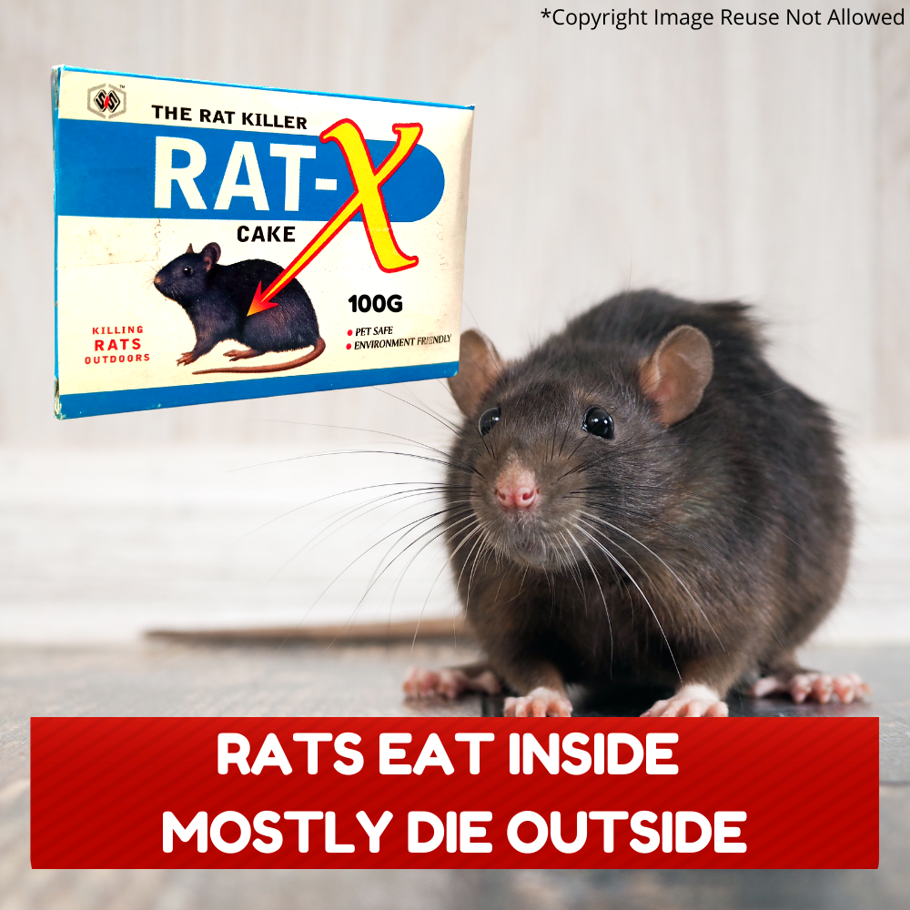 Rat Control Cake | Rats Mostly Die Outside | Rat Bait for Rat and Rodent Control | Rodenticide 100GMx1